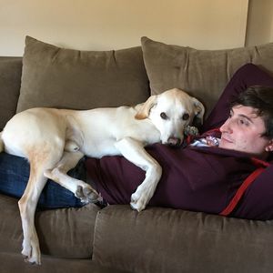 Meet your Posher, Zach